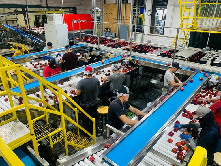 enhancing operational productivity strategies