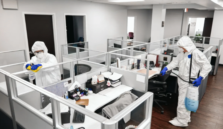How to Handle Bedbugs in Office Spaces